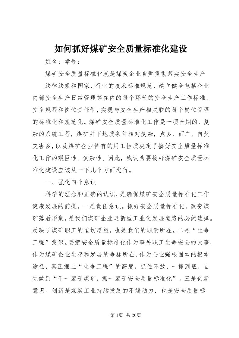 5如何抓好煤矿安全质量标准化建设