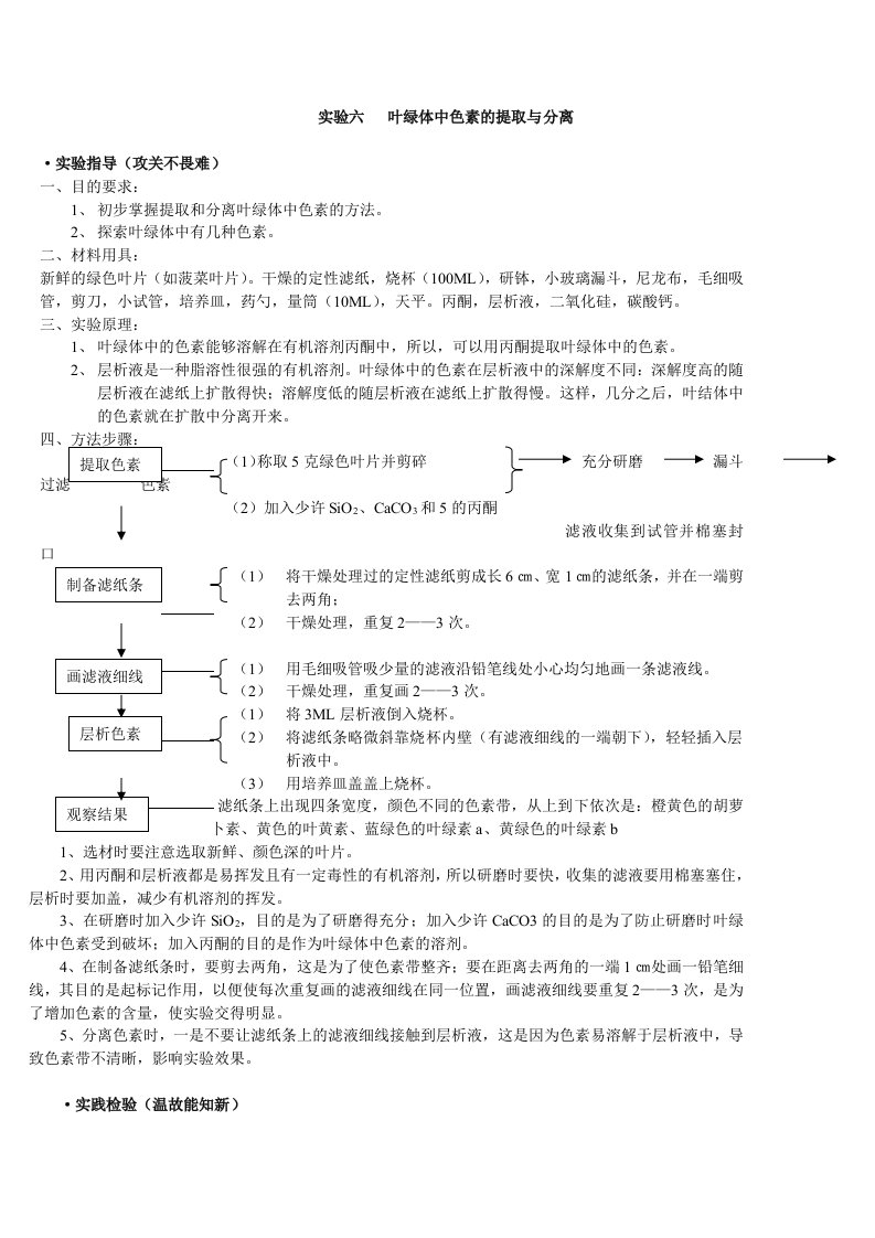 实验六叶绿体中色素的提取与分离