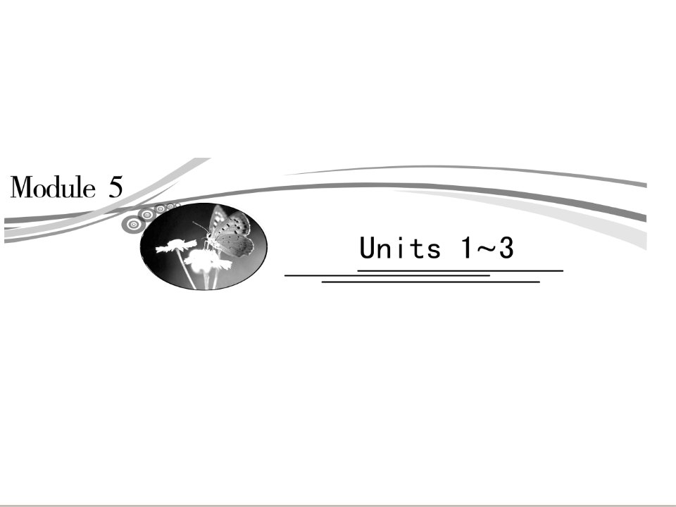 2013届高三英语一轮复习课件：Unit+1（牛津译林版必修5）