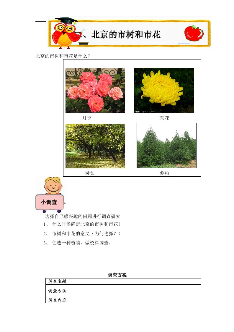 人教版生活与科技一下《北京的市树和市花》