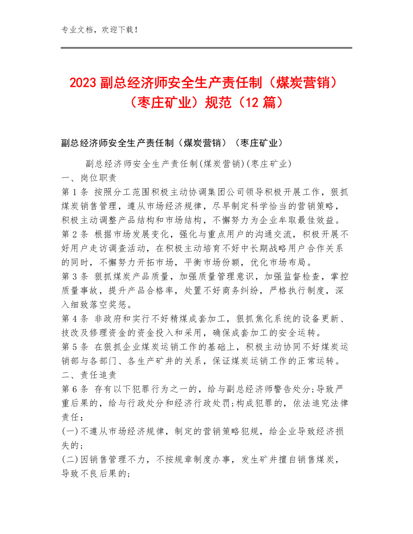 2023副总经济师安全生产责任制（煤炭营销）（枣庄矿业）规范（12篇）