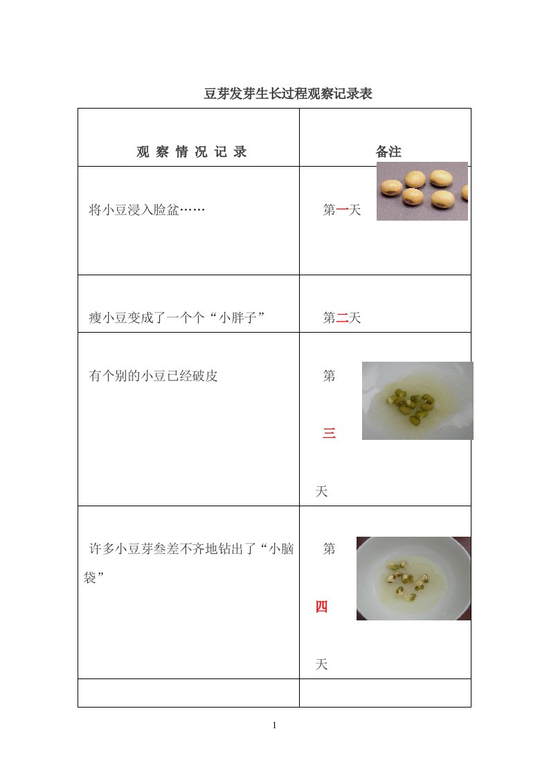 豆芽发芽生长过程观察记录表