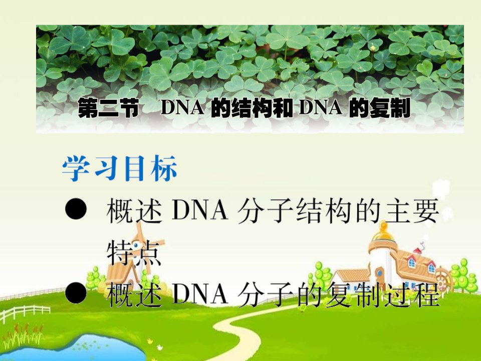 高二生物DNA的结构和DNA的复制