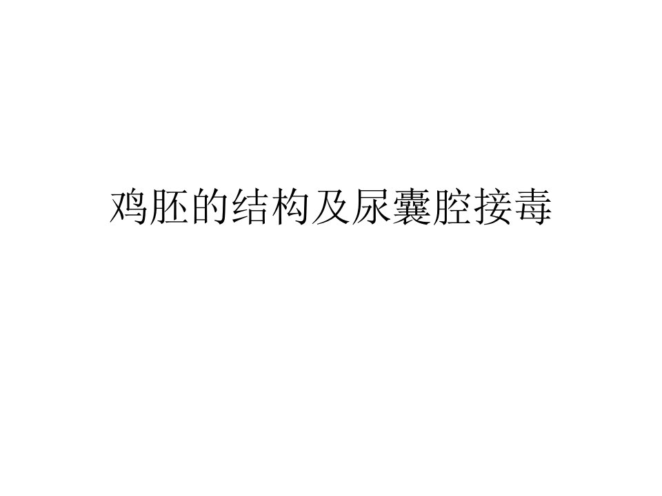 鸡胚结构及尿囊腔接毒