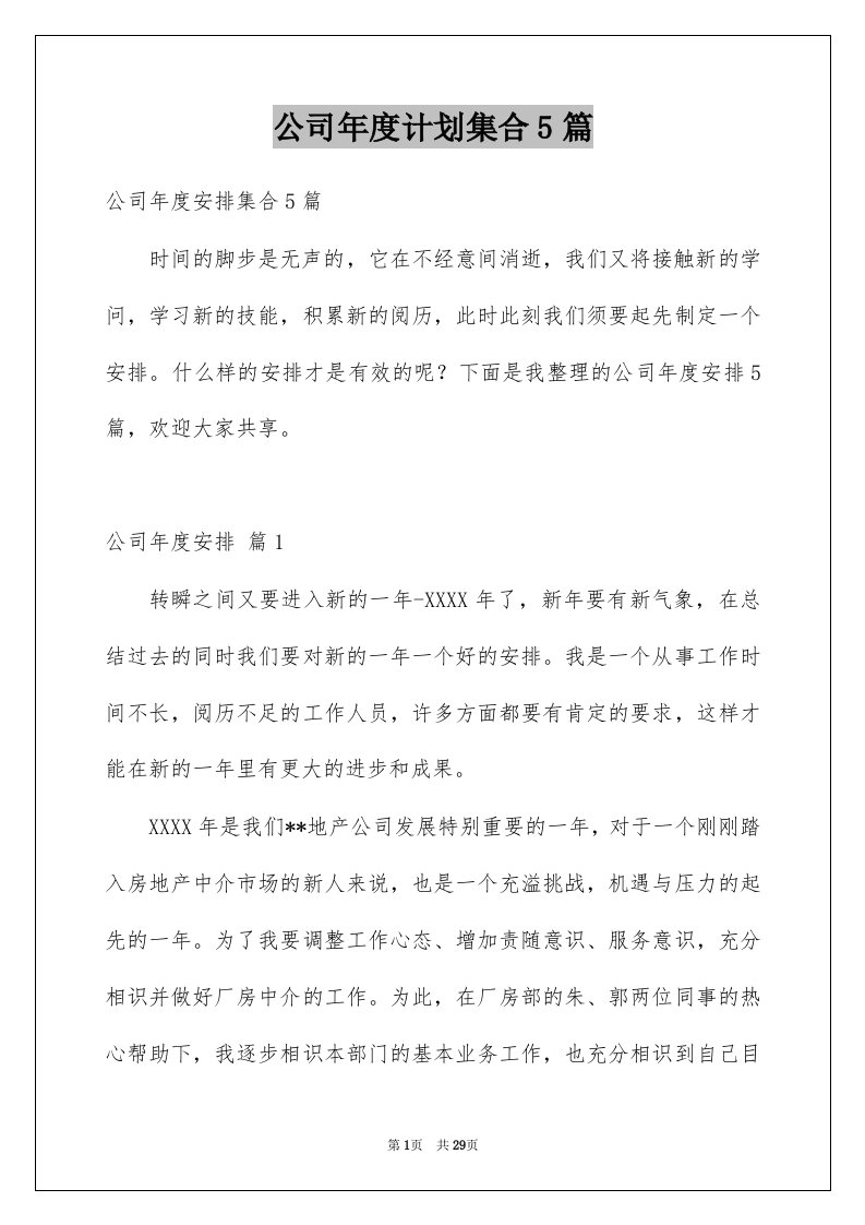 公司年度计划集合5篇