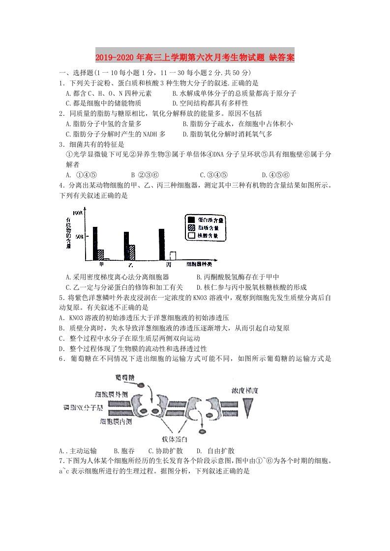 2019-2020年高三上学期第六次月考生物试题