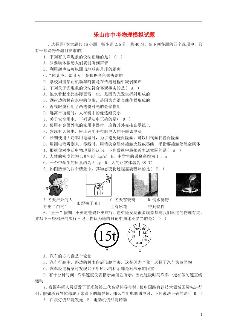 四川省乐山市中考物理模拟试题