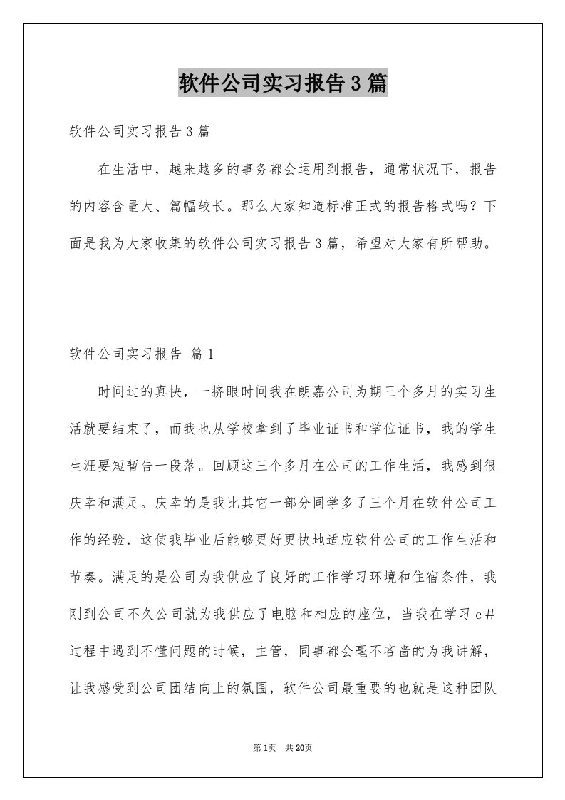 软件公司实习报告3篇范本