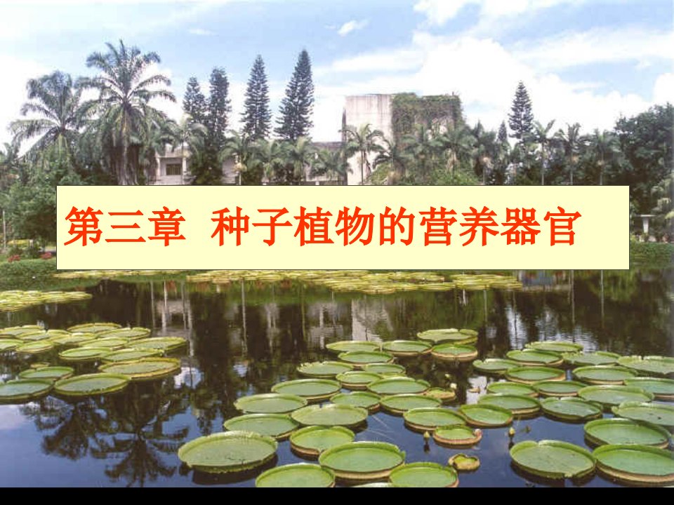 《植物学教学资料》第三章