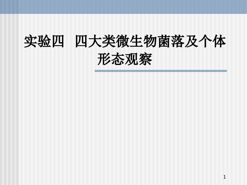 实验四四大类微生物菌落及个体形态观察课件