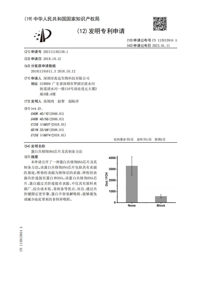 蛋白共修饰DNA芯片及其制备方法