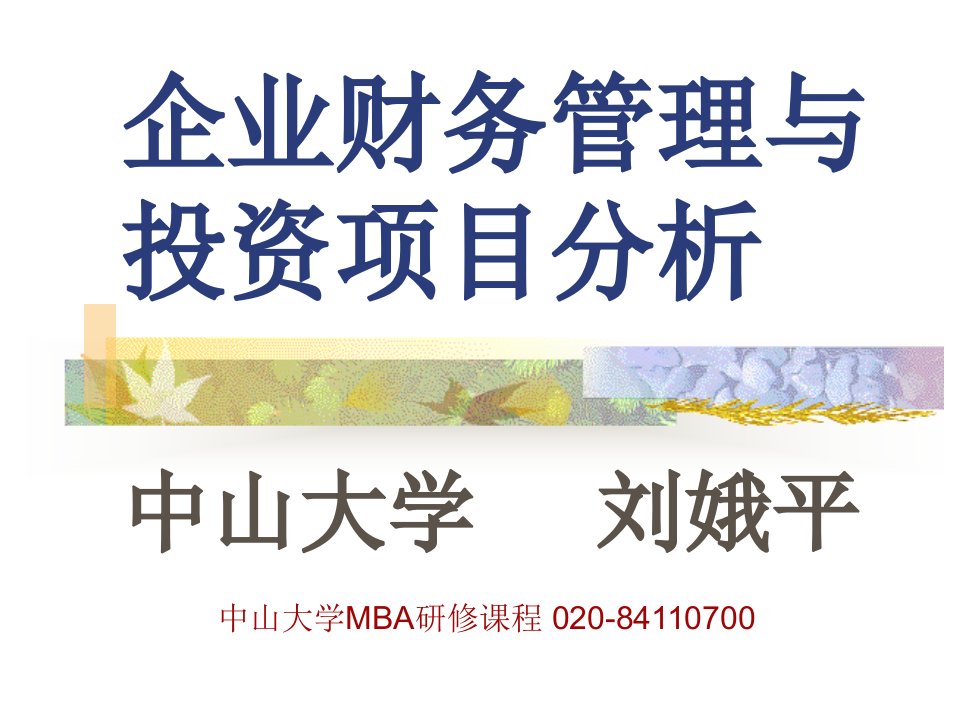 企业财务管理与投资项目分析》刘娥平教授删减版中大MBA课程