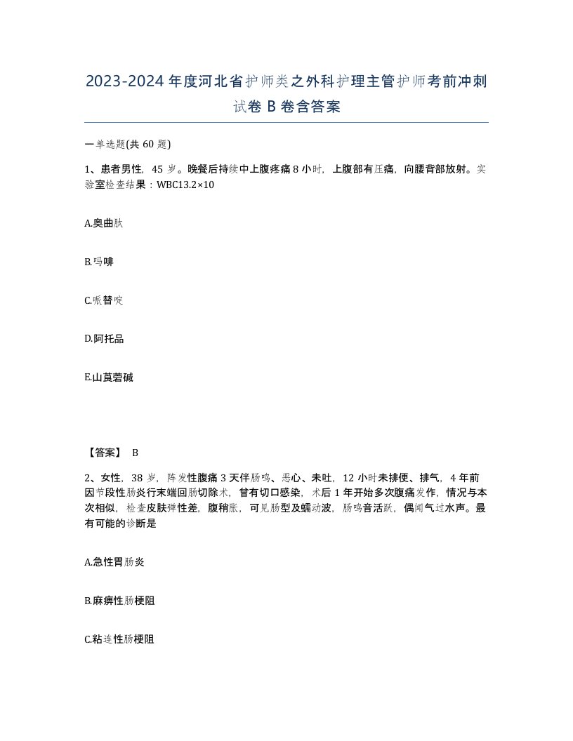 2023-2024年度河北省护师类之外科护理主管护师考前冲刺试卷B卷含答案