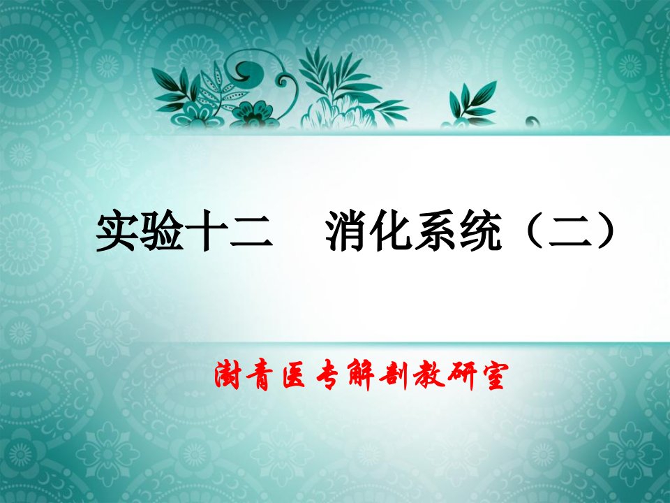 实验十二小肠、大肠、消化腺