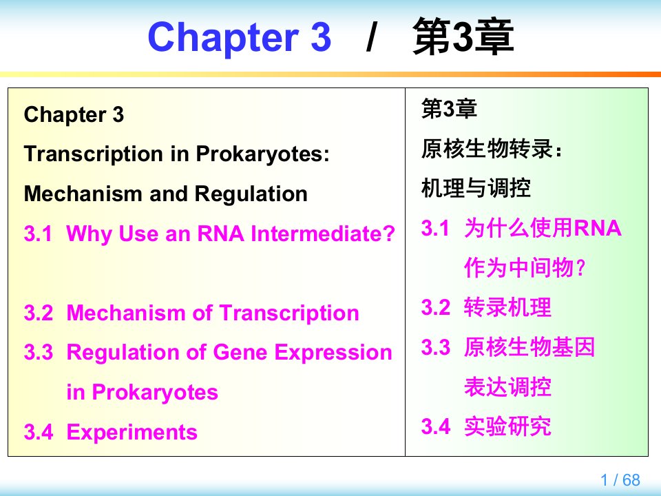 大学课程英汉对照分子生物学导论教学Chapter-3ppt课件