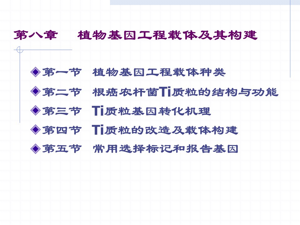 植物基因工程载体及其构建