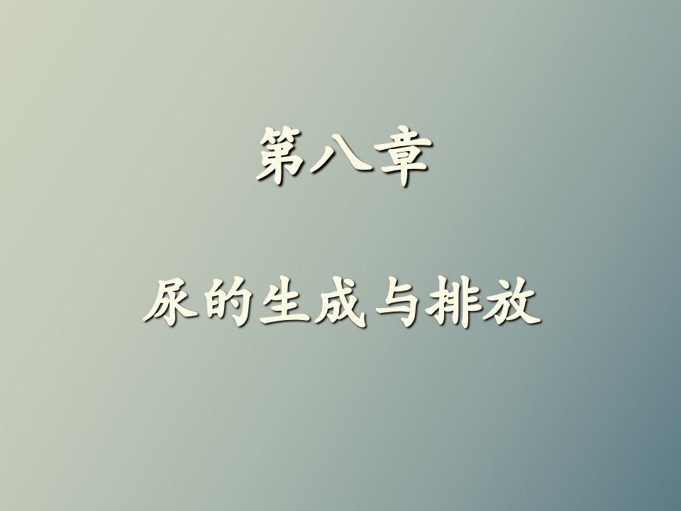 尿的生成与排放