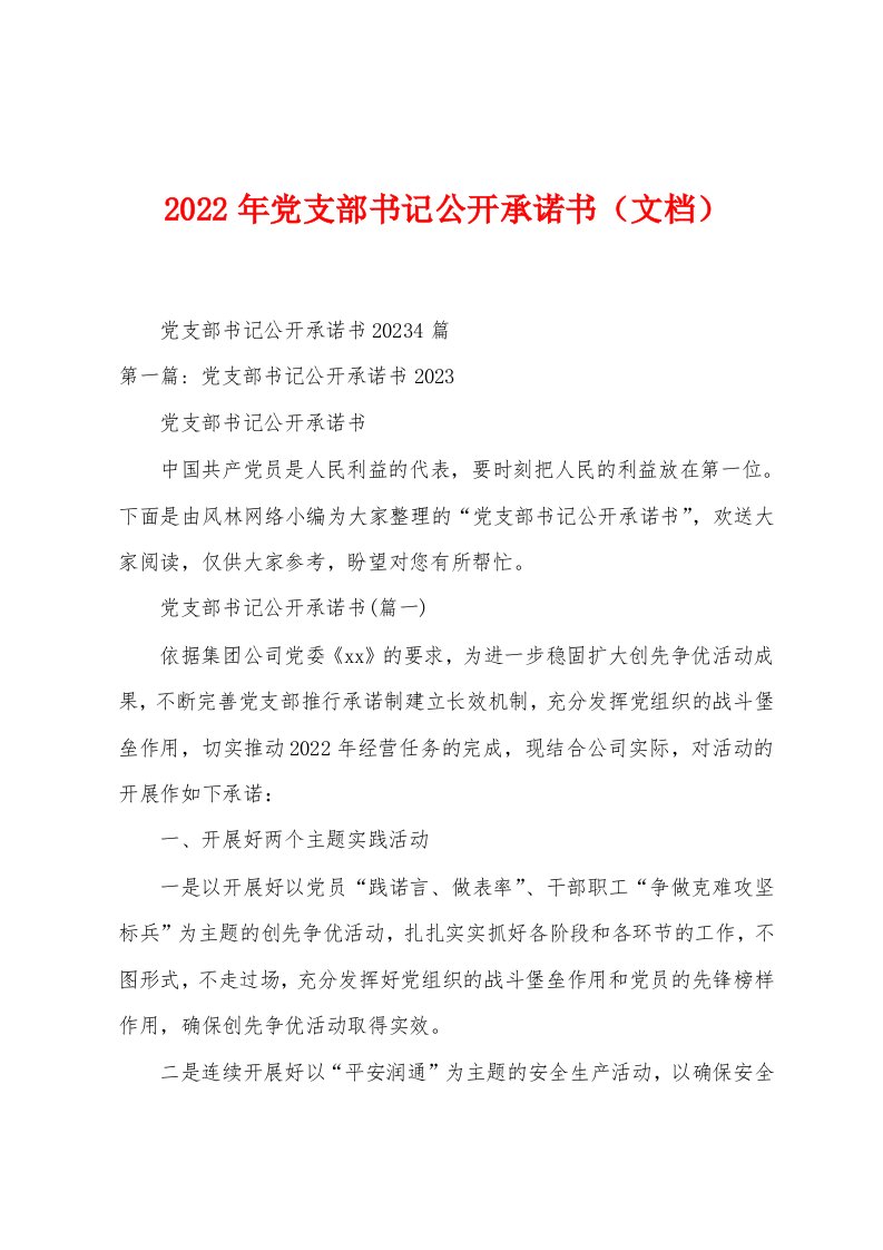 2023年党支部书记公开承诺书