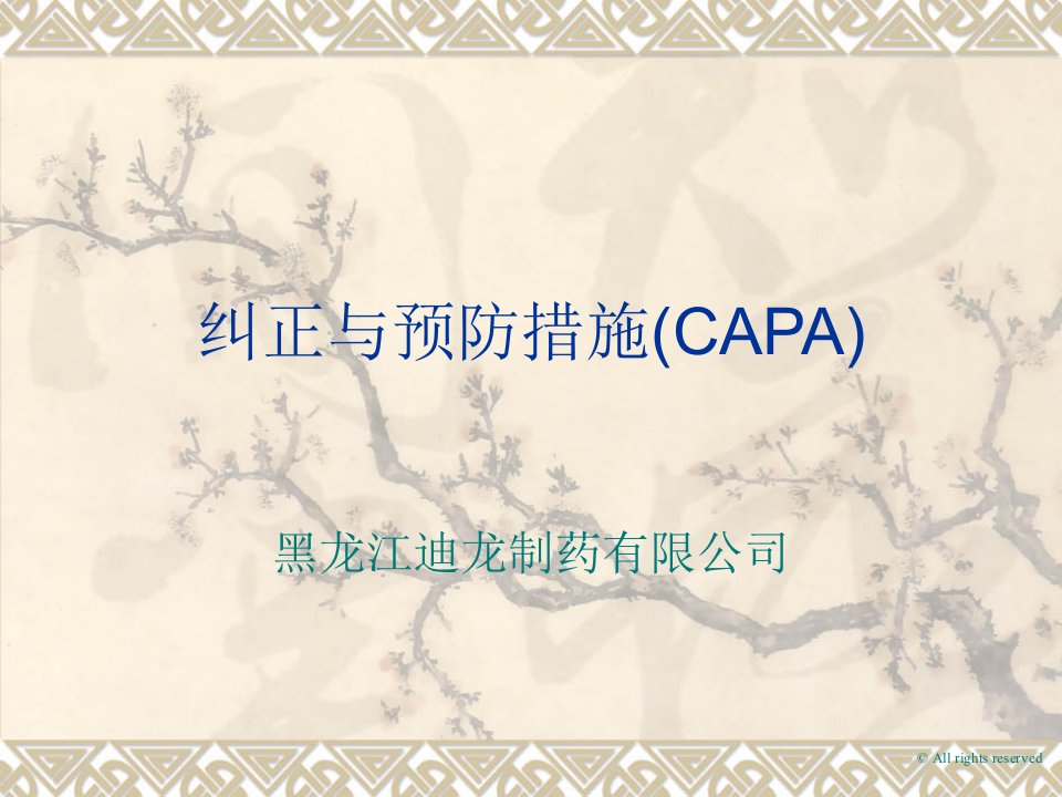 纠正与预防措施(CAPA)幻灯片