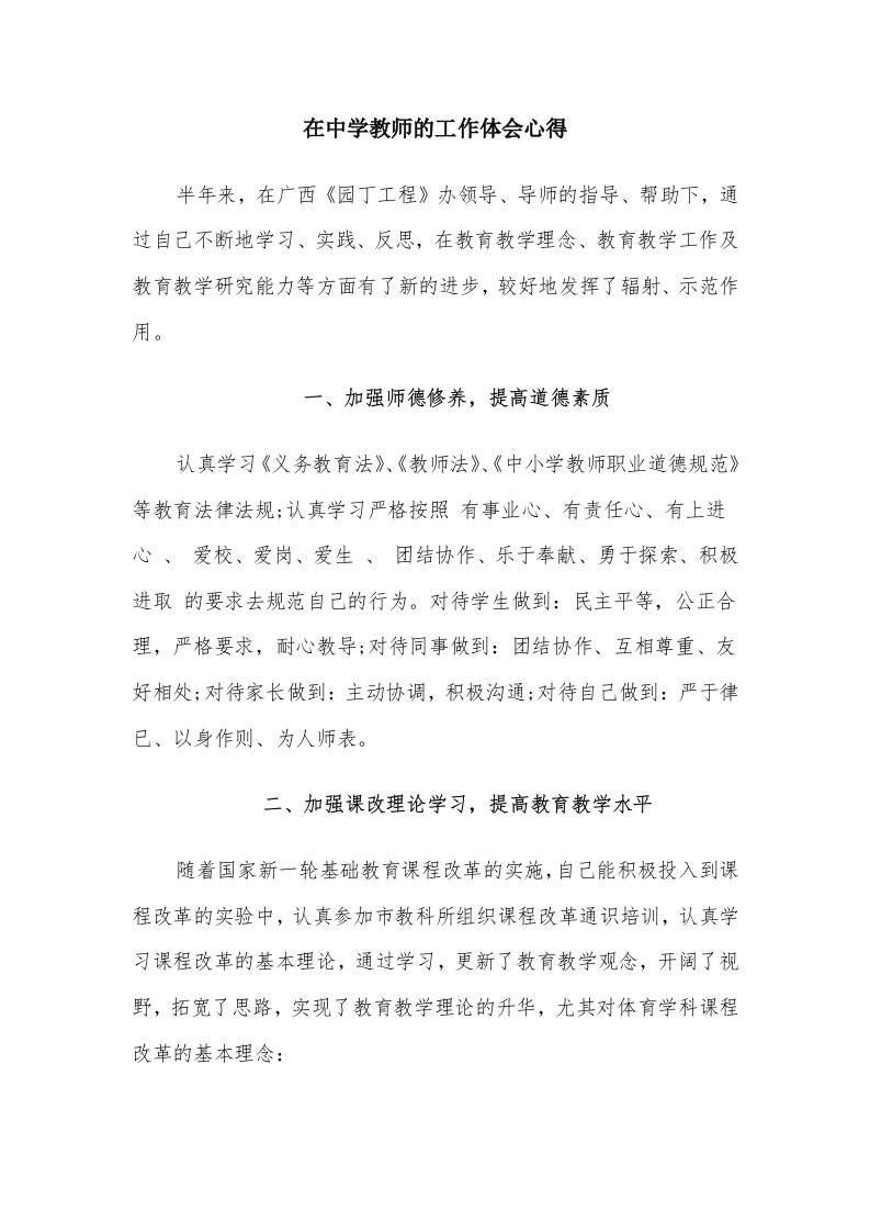 在中学教师的工作体会心得