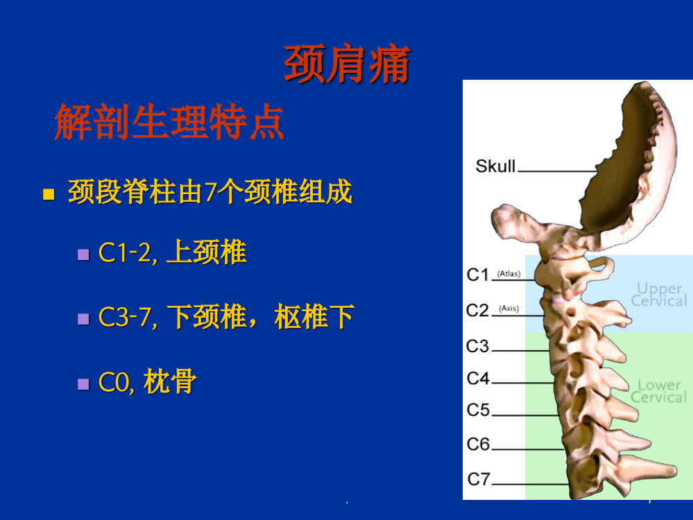 关爱百姓-关注疼痛巡讲PPT课件