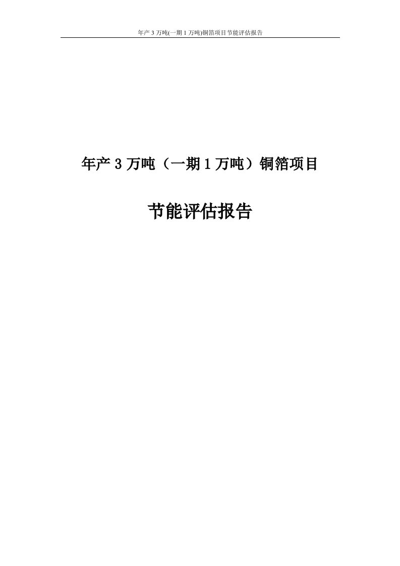 年产3万吨(一期1万吨)铜箔项目节能评估报告