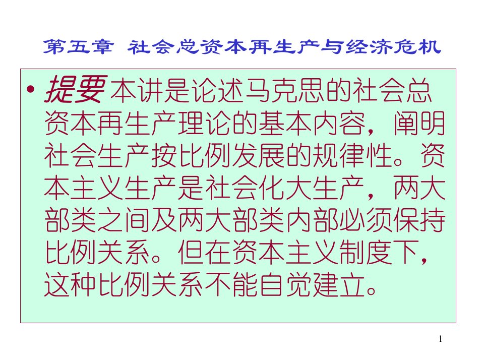 《政治经济学教学资料》总资本再生产与经济危机（合订版）