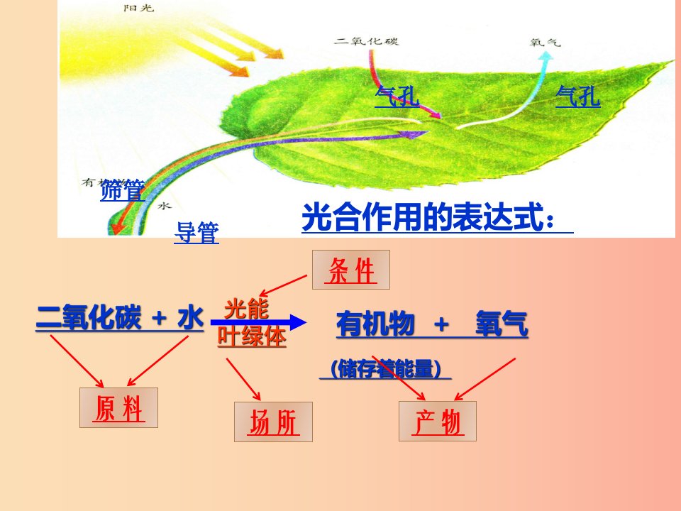 陕西省七年级生物上册