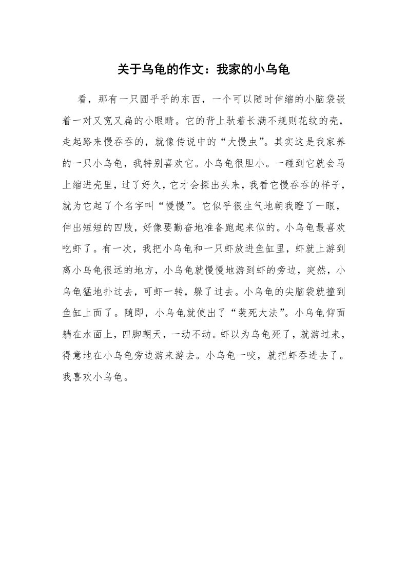 关于乌龟的作文：我家的小乌龟