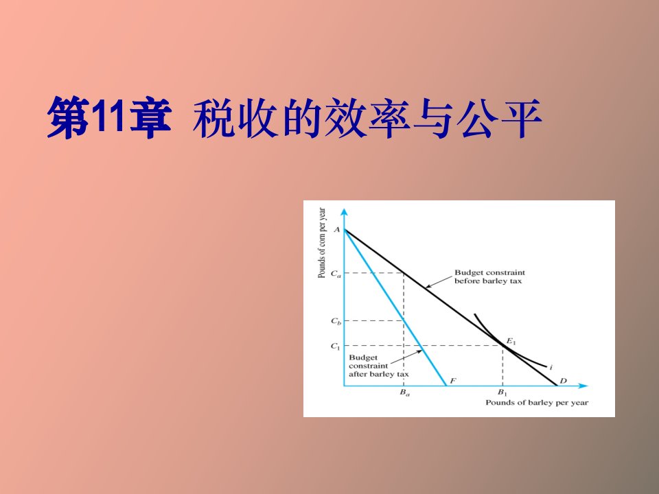 税收理论税收经济分析