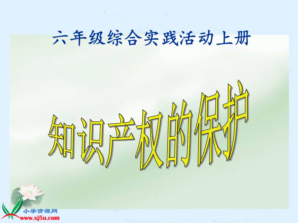 知识产权的保护PPT-精品课件(PPT)