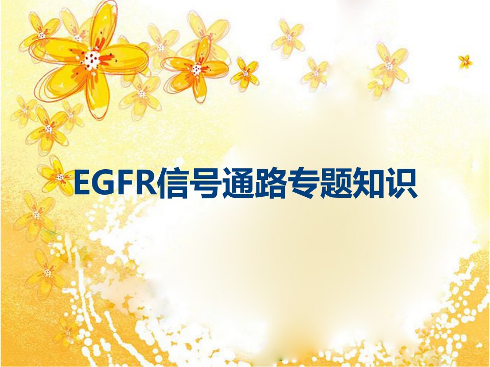 EGFR信号通路专题知识课件