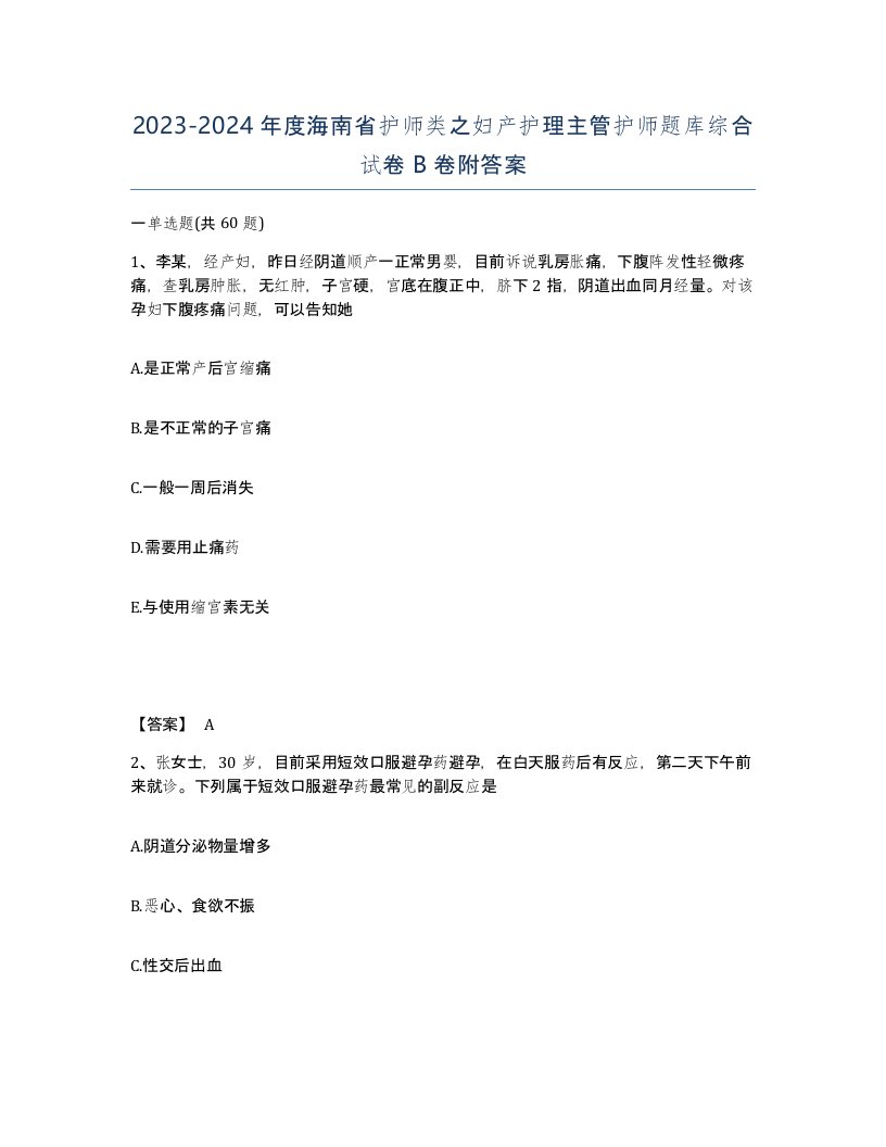 2023-2024年度海南省护师类之妇产护理主管护师题库综合试卷B卷附答案