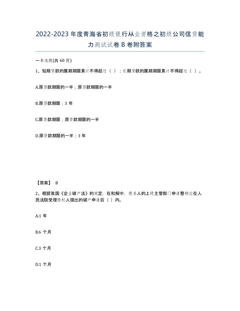 2022-2023年度青海省初级银行从业资格之初级公司信贷能力测试试卷B卷附答案