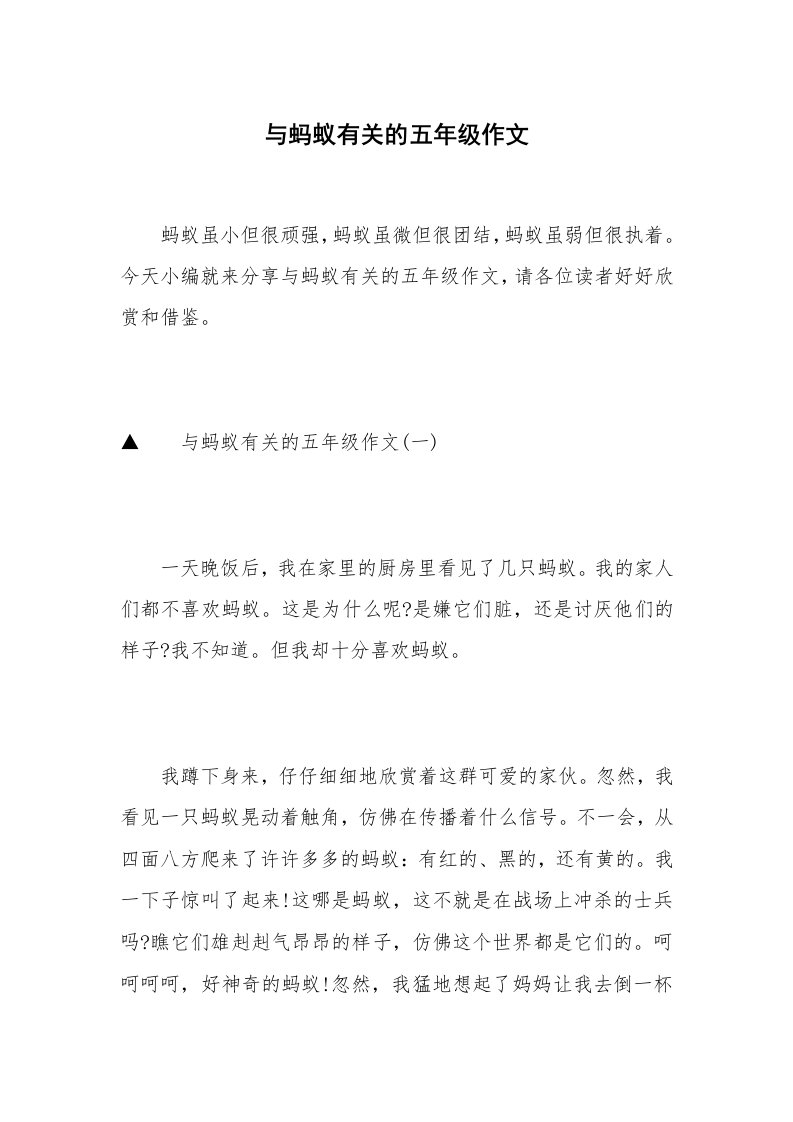 与蚂蚁有关的五年级作文