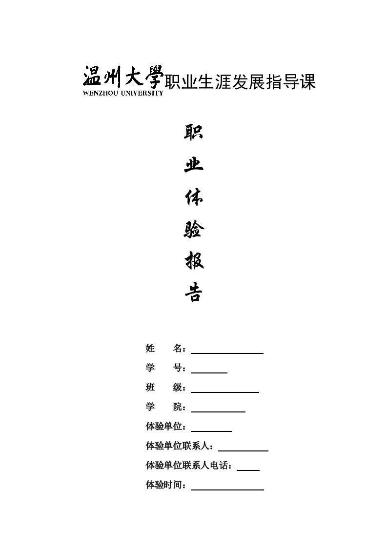 摆地摊——职业体验报告