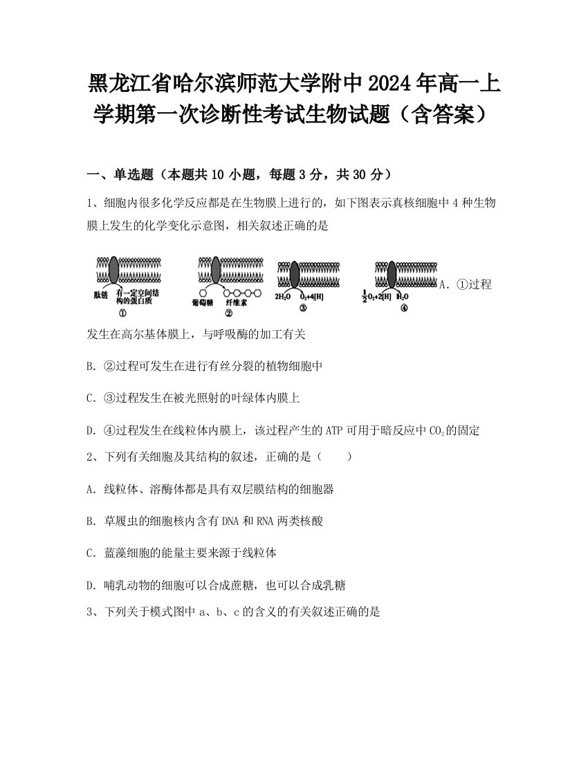 黑龙江省哈尔滨师范大学附中2024年高一上学期第一次诊断性考试生物试题（含答案）