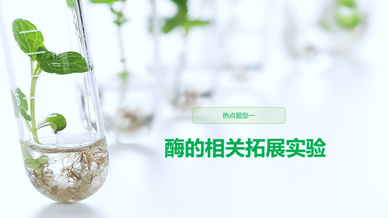 2020版高考生物一轮复习人教版(通用)教师ppt课件第三单元-热点题型一酶的相关拓展实验