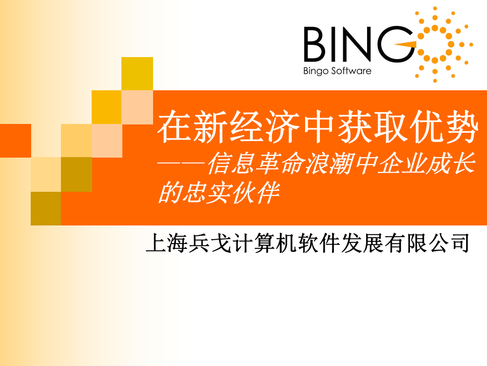 在新经济中获取优势——信息革命浪潮中企业成长的忠实伙伴(ppt51)(1)