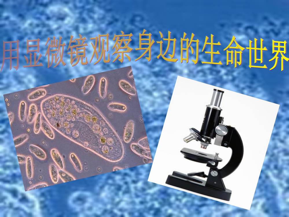 【精编】六年级科学下册