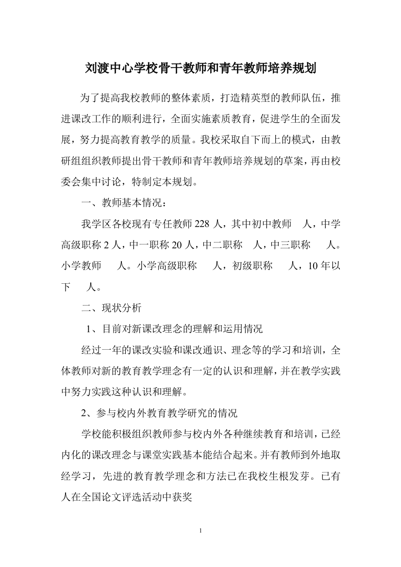 骨干教师和青年教师培养长远规划