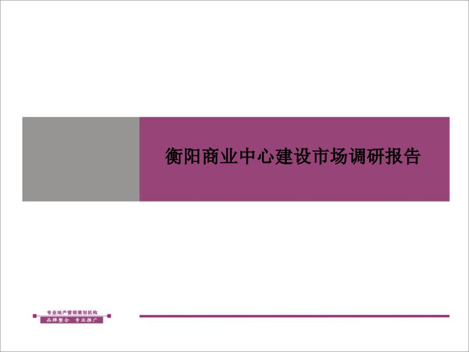 衡阳商业中心建设市场调研报告