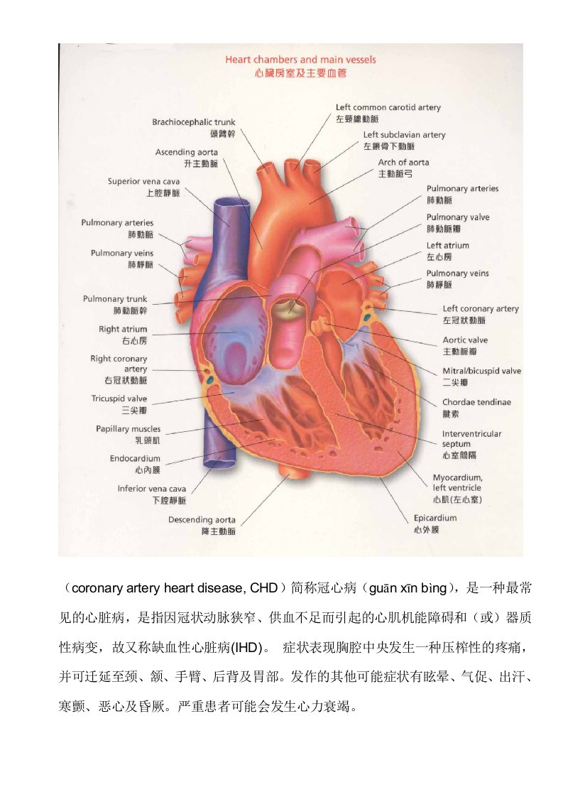 冠心病原理和防治方法