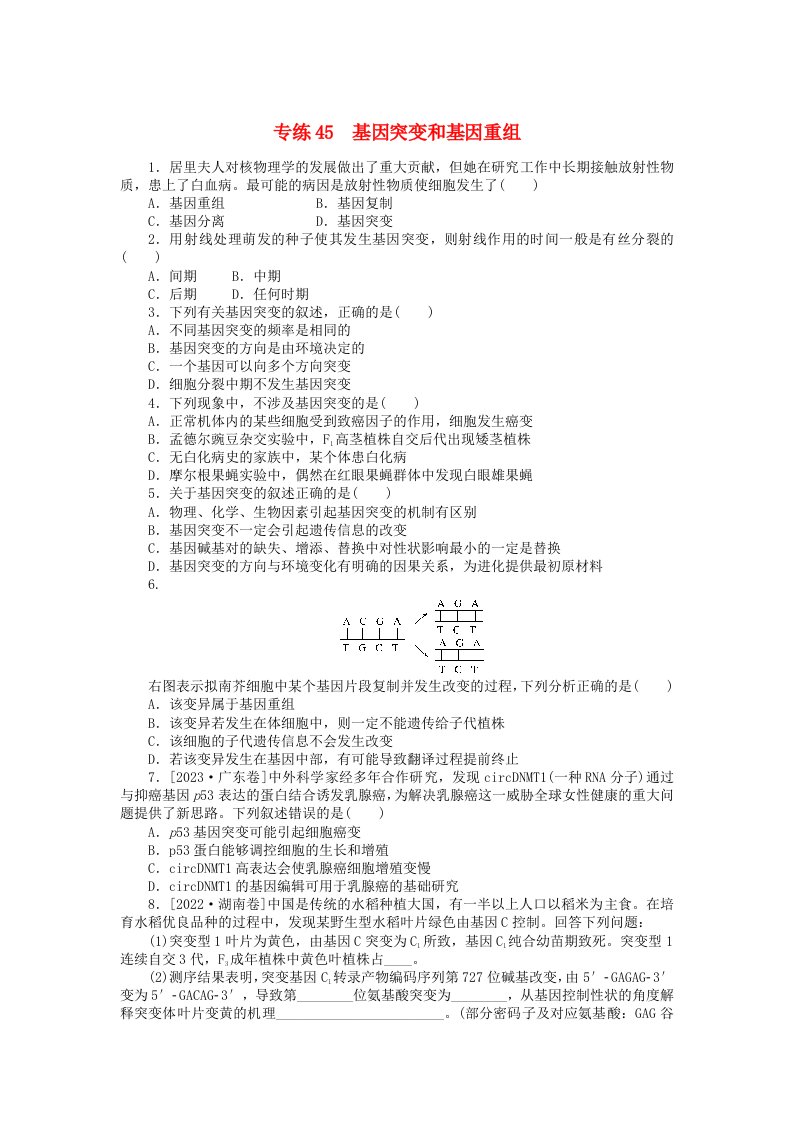 统考版2024版高考生物一轮复习微专题小练习专练45基因突变和基因重组