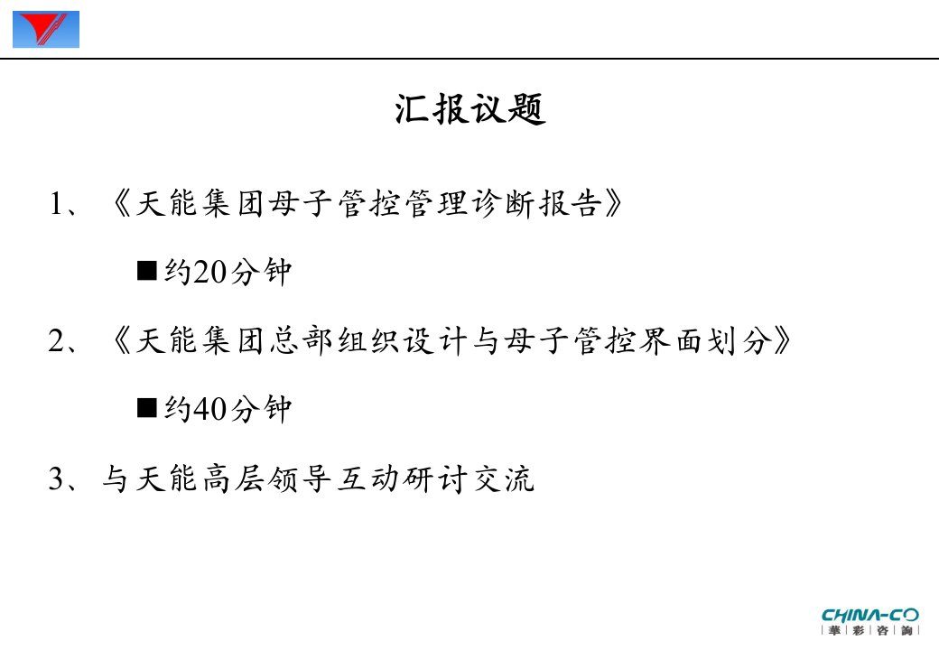 天能国际集团母子公司管控咨询