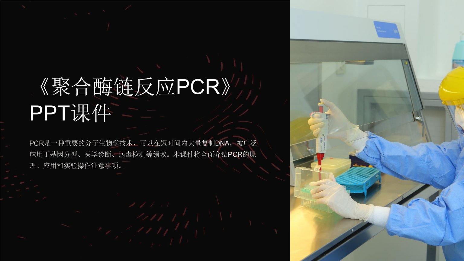 《聚合酶链反应PCR》课件