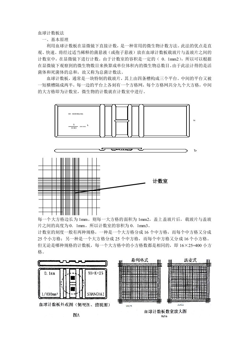 血球计数板-江苏生物小高考复习