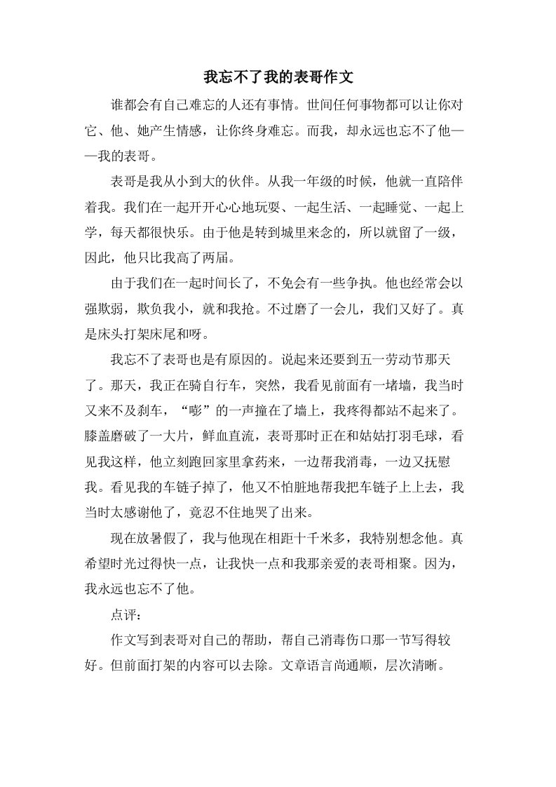 我忘不了我的表哥作文