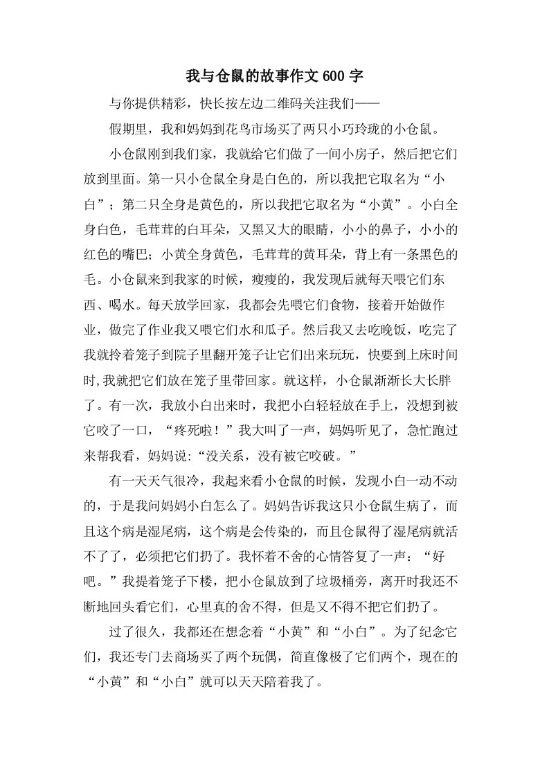 我与仓鼠的故事作文600字