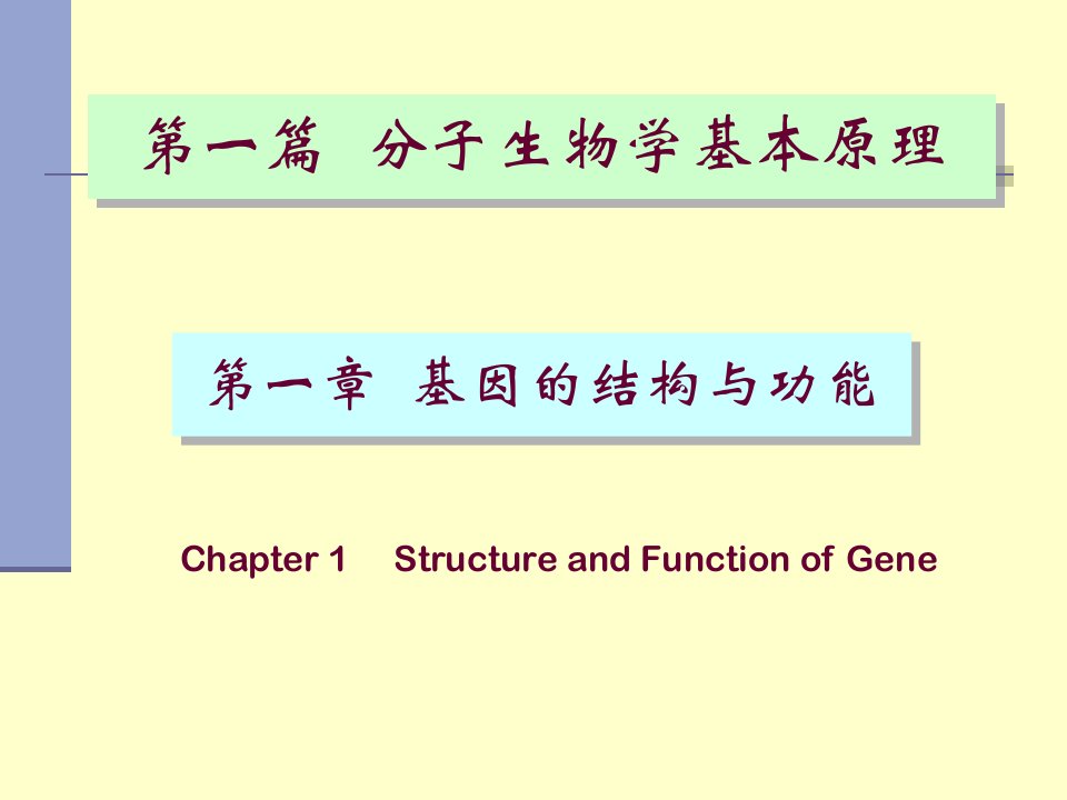 分子生物学基因的结构和功能